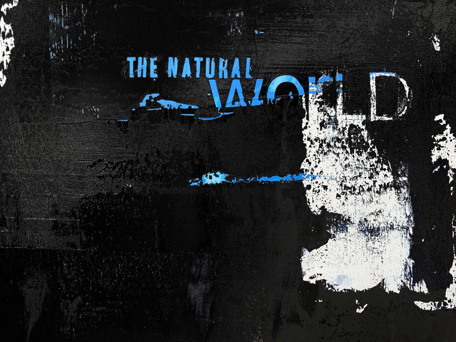 »THE SOURCE«